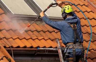 Démoussage et hydrofuge de toiture à Piana